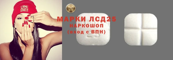ECSTASY Алзамай