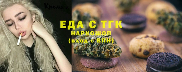 ECSTASY Алзамай