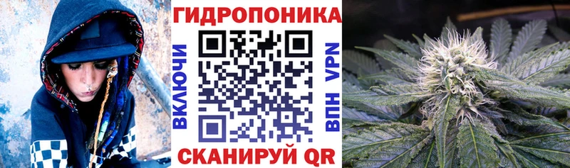 OMG зеркало  продажа наркотиков  Собинка  Бошки Шишки сатива 